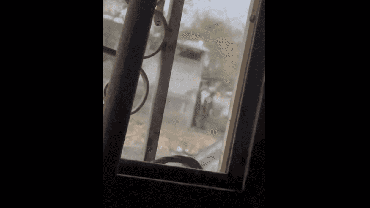 Michoacán bajo fuego cruzado: Enfrentamientos entre grupos criminales.