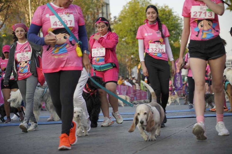 Miles de corredoras participan en el Mujer Quer\u00e9taro Medio Marat\u00f3n 2026 sobre Avenida Constituyentes frente a la Alameda Hidalgo en el Centro Hist\u00f3rico de la capital del estado