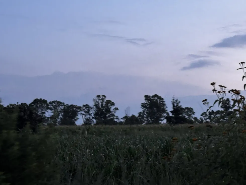 Milpa y cultivos en tierras ejidales de Nopala de Villagr\u00e1n, Hidalgo, que ser\u00e1n arrendadas a empresas de energ\u00eda solar durante 30 a\u00f1os