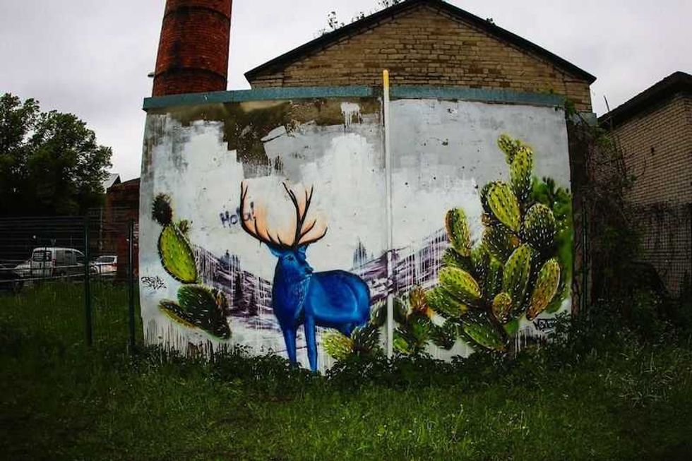 ministro de la republica de estonia otorga reconocimiento empresa queretana