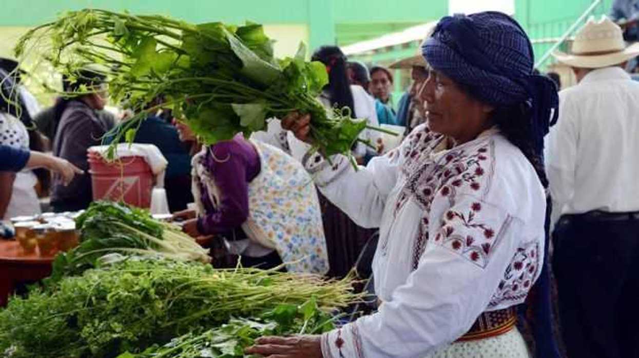 moda-plagio-mexico-efe