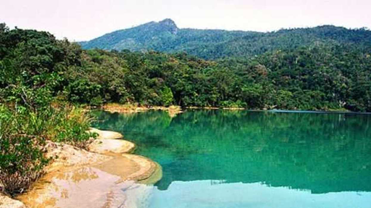 montes-azules-celebra-39-anos-reserva-la-biosfera