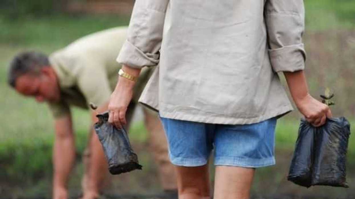 Mujeres abren caminos en la agroecología. Foto: Ilustrativa/ SEMlac Cuba.