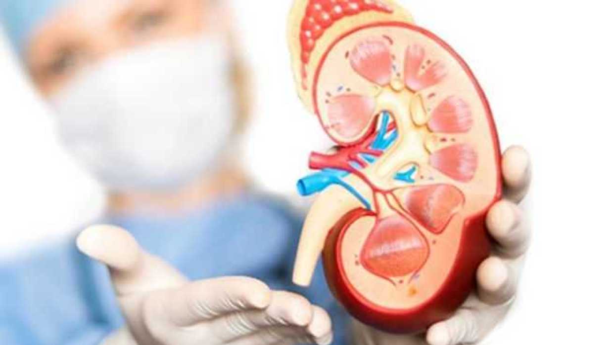 mujeres-con-enfermedad-renal-presentan-alteraciones-en-la-fertilidad