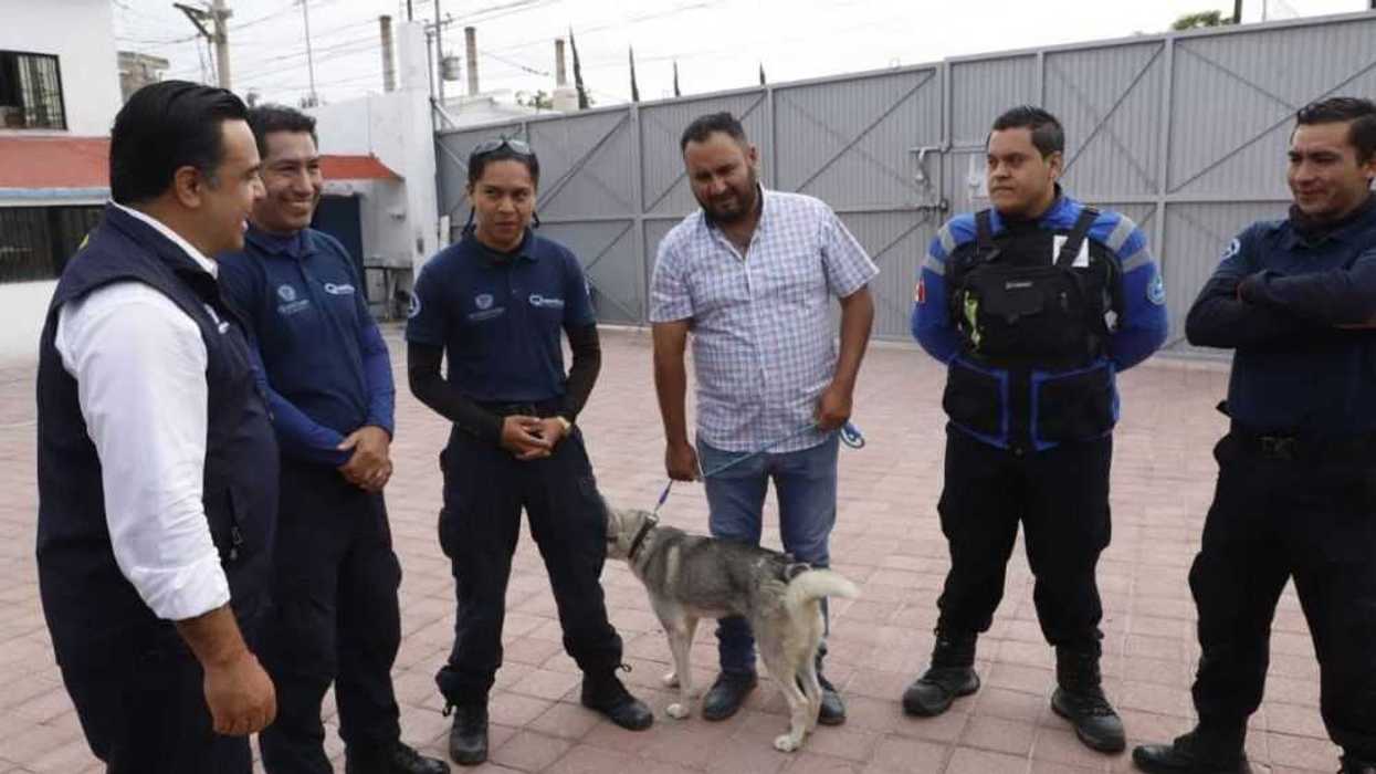 Municipio de Querétaro reconocido como pionero en atención y cuidado animal.