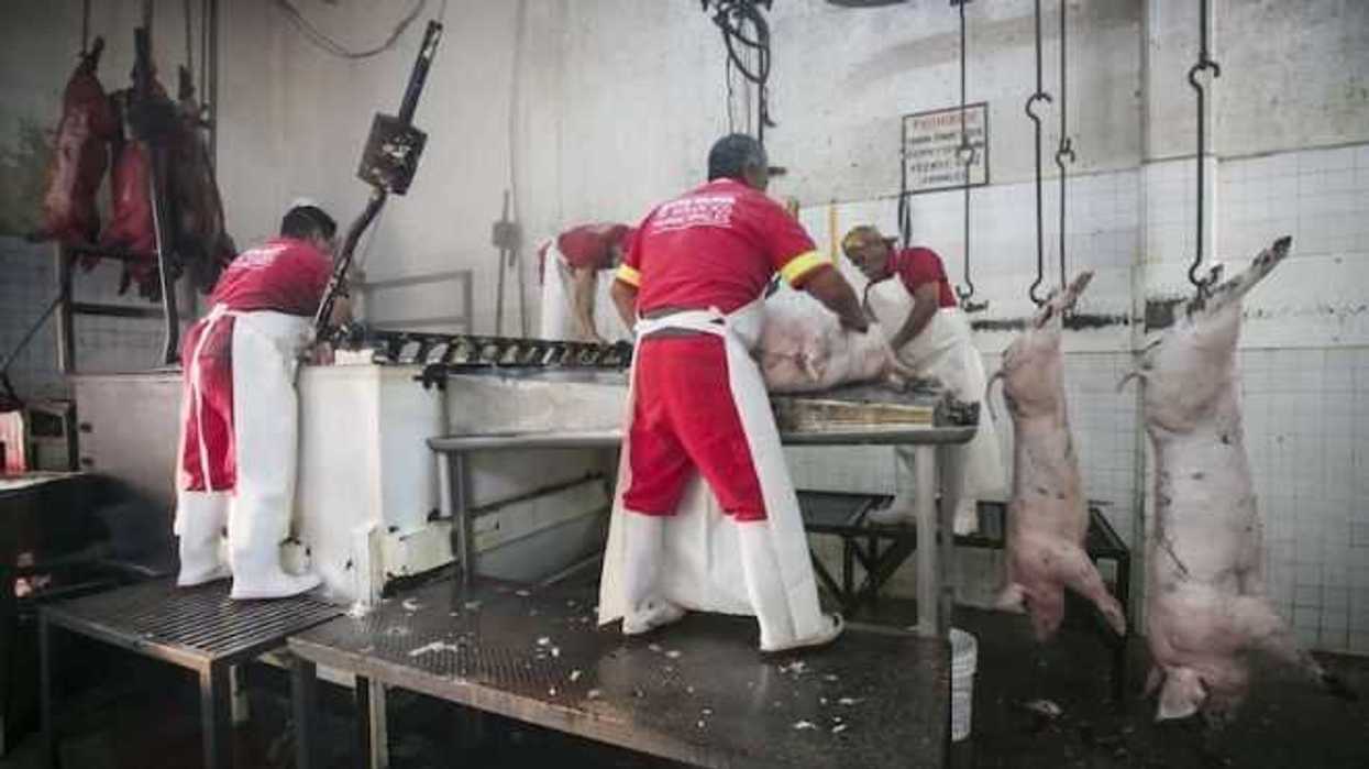 municipio-proyecta-mejoras-al-rastro-municipal-de-san-juan-del-rio-1