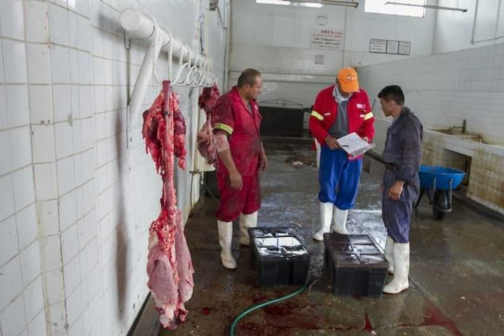 municipio proyecta mejoras al rastro municipal de san juan del rio 4