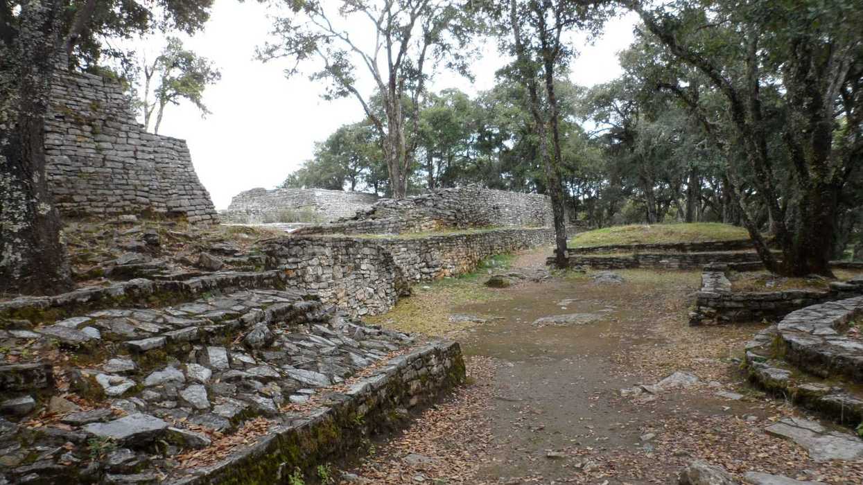 Muros de piedra en capas y árboles cubiertos de musgo en la zona arqueológica de Toluquilla, Querétaro, incluida en los paseos culturales del INAH