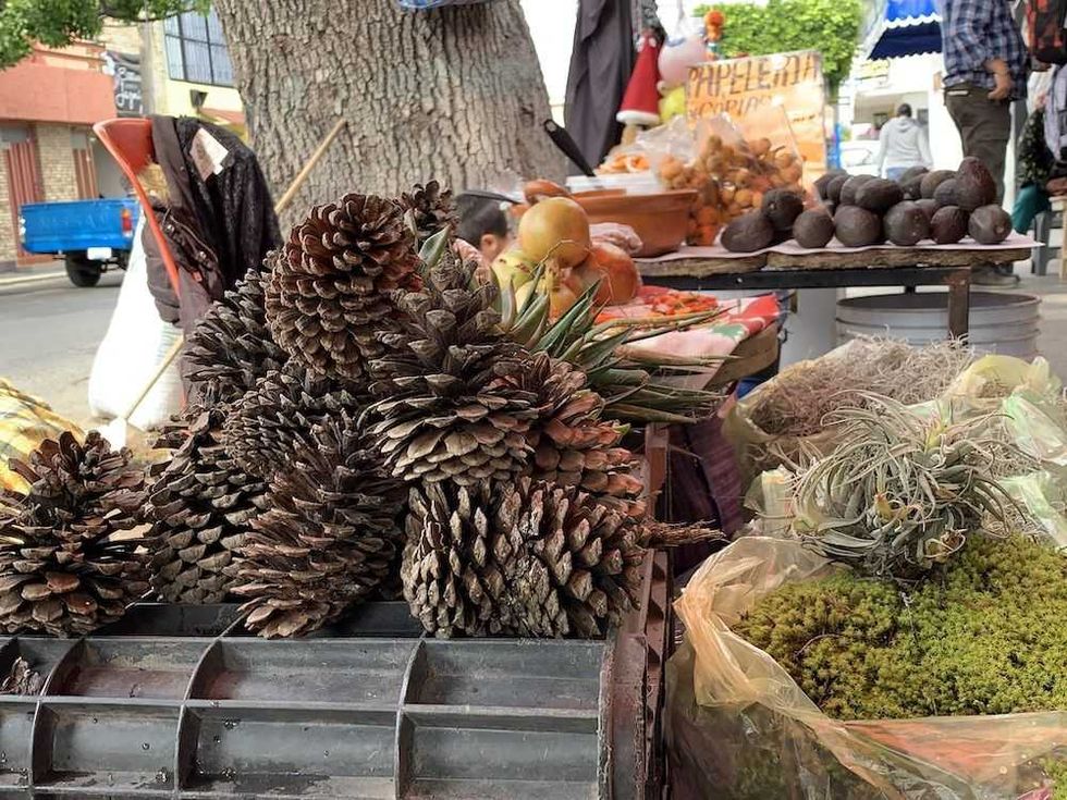 musgo pinas biznaga heno nacimientos 5