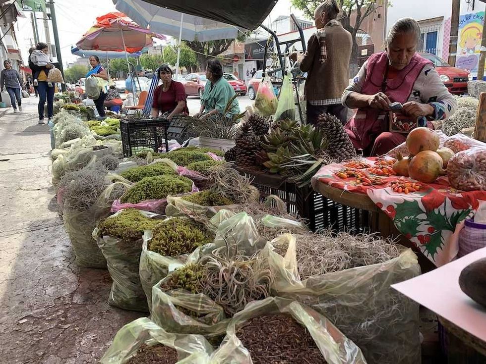 musgo pinas biznaga heno nacimientos 6