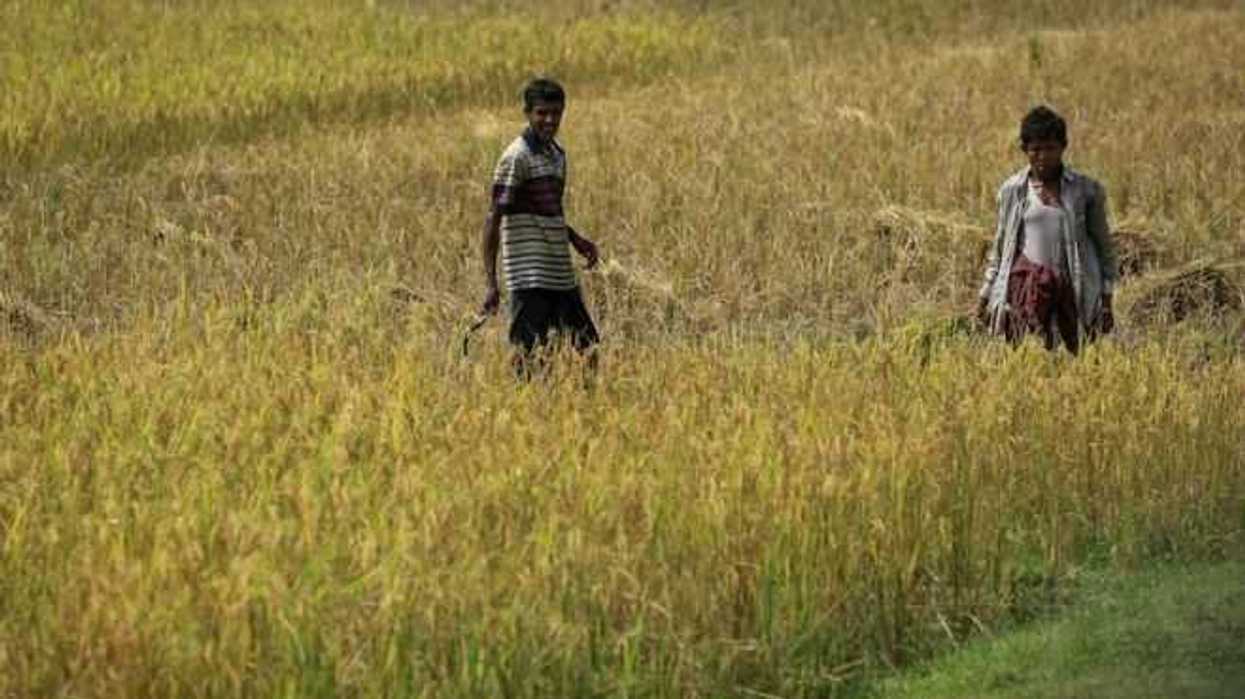 myanmar-continua-hostigamiento-contra-minoria-rohingya