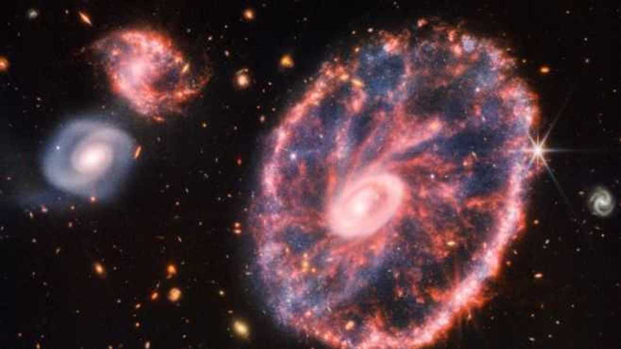 Nueva imagen del James Webb: el caos de la galaxia Rueda de carro