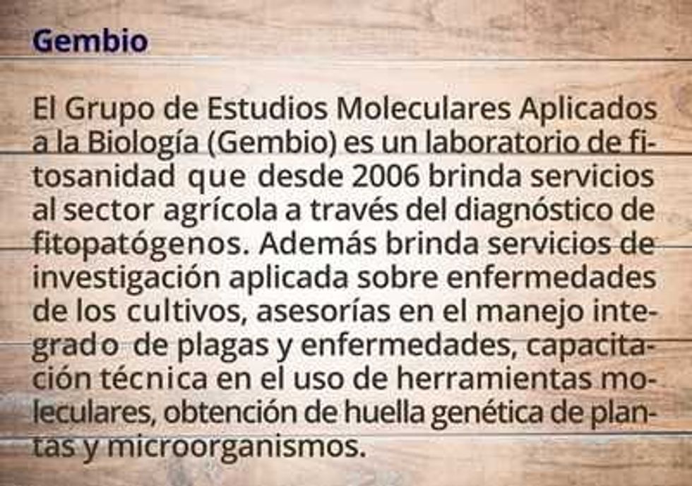 nuevas estrategias contra hongo en teca