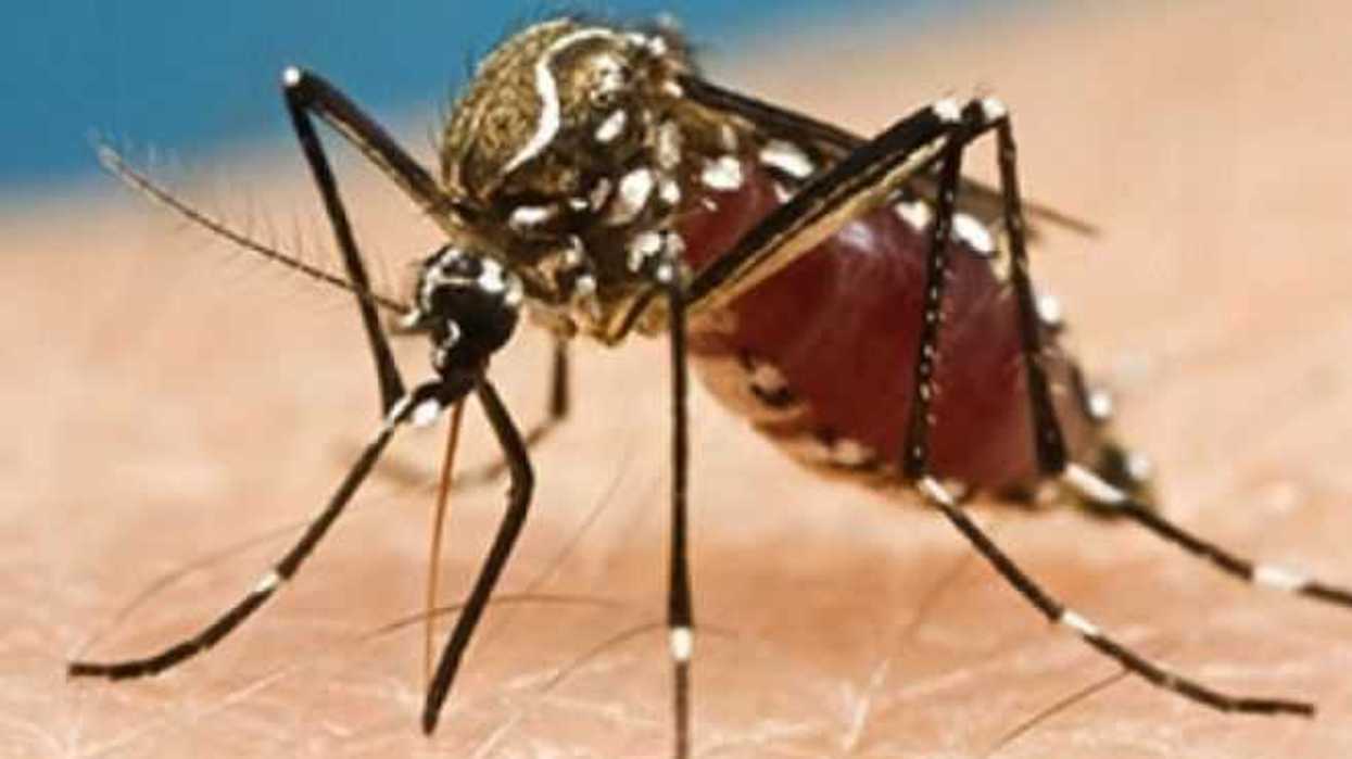 oaxaca-realiza-jornada-lucha-contra-dengue-zika-chikungunya