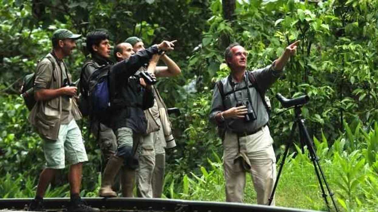 observacion-aves-busca-incorporase-oferta-turistica-merida