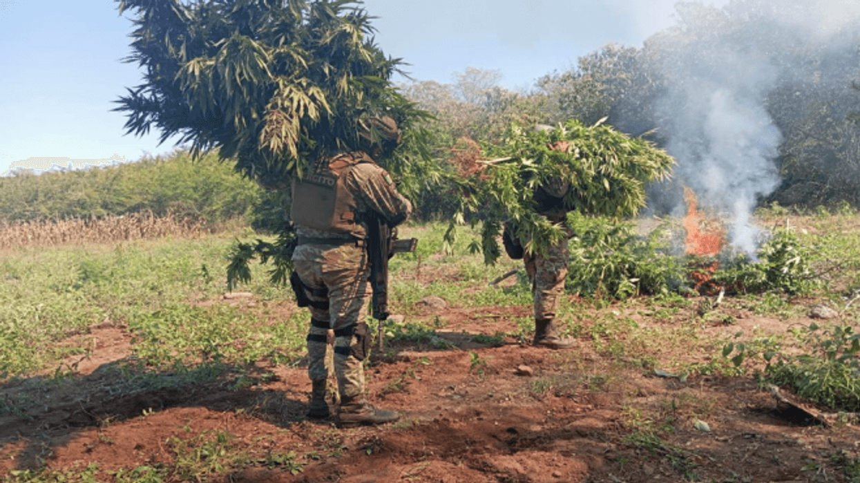 Ofensiva nacional contra el crimen: 10 estados en la mira del Gabinete de Seguridad.