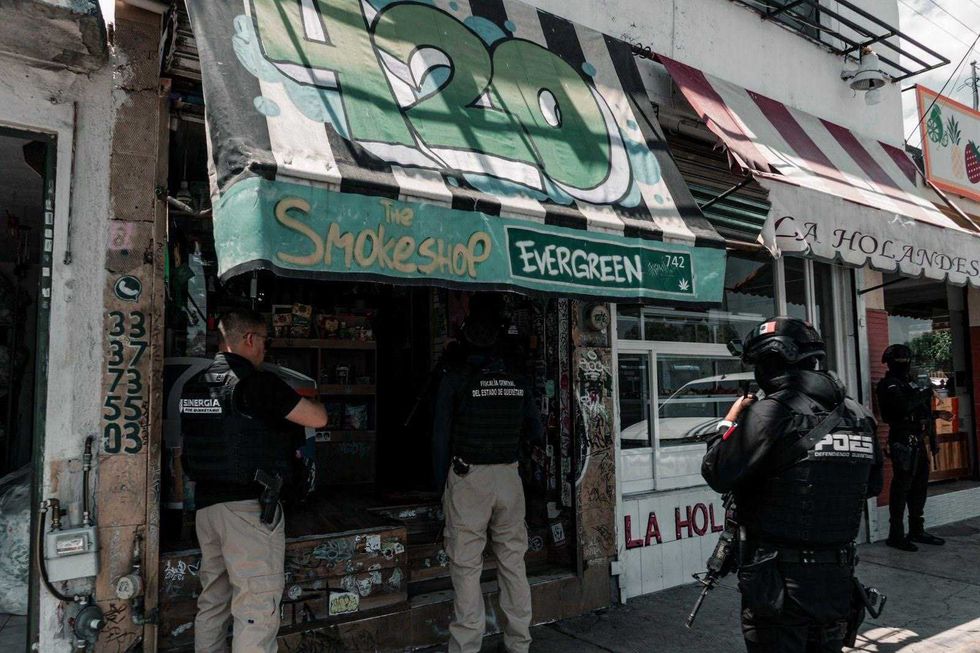 Operativo Sinergia con cateos simult\u00e1neos en 12 smoke shops de Quer\u00e9taro, El Marqu\u00e9s y Corregidora