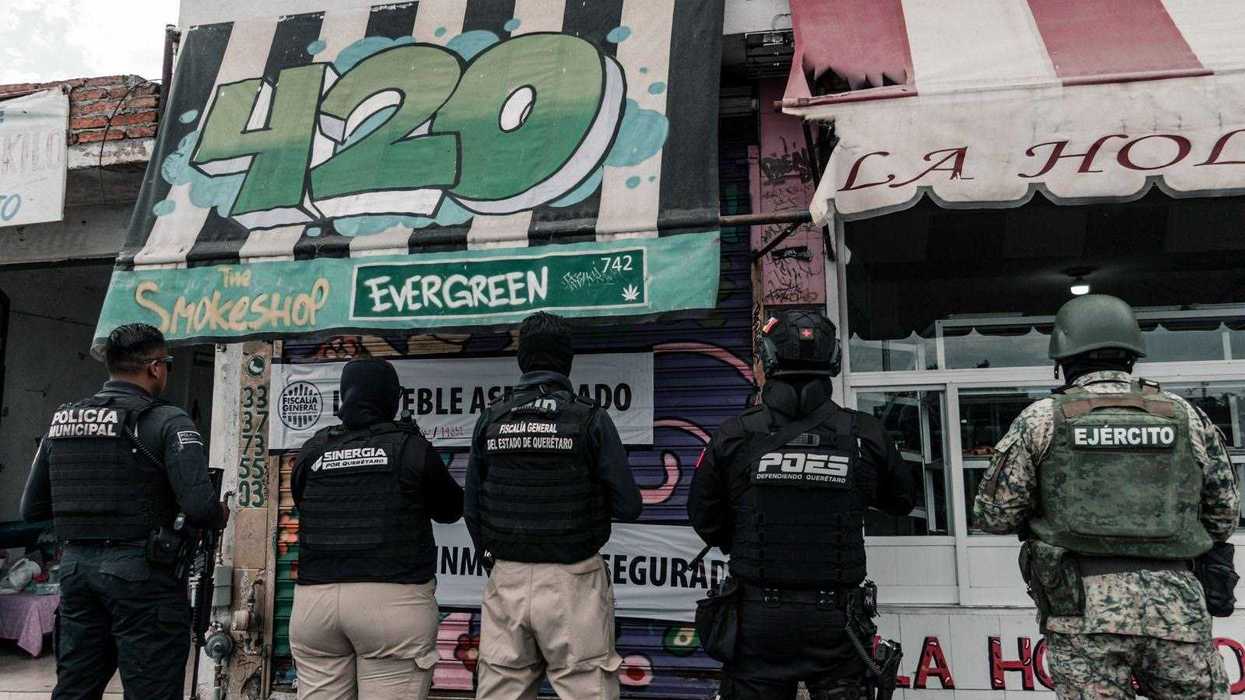 Operativo Sinergia con cateos simultáneos en 12 smoke shops de Querétaro, El Marqués y Corregidora