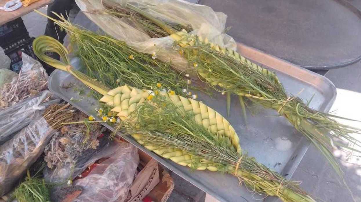 palmas-domingo-ramos