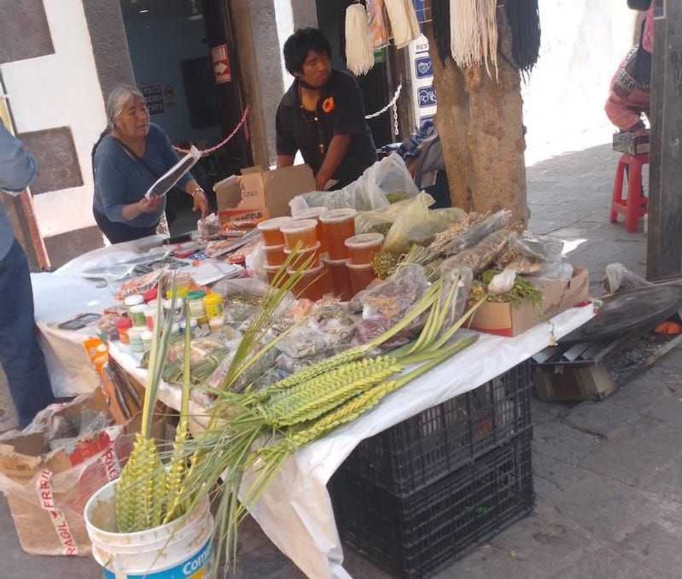palmas domingo ramos2