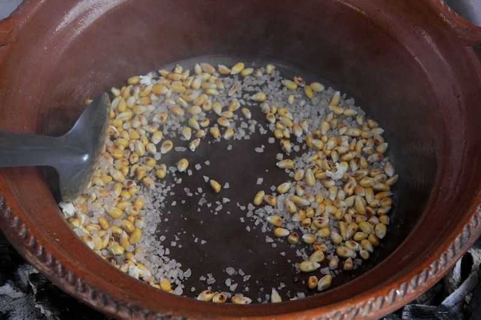 palomitas de maiz las flores olvidadas del campo mexicano 1