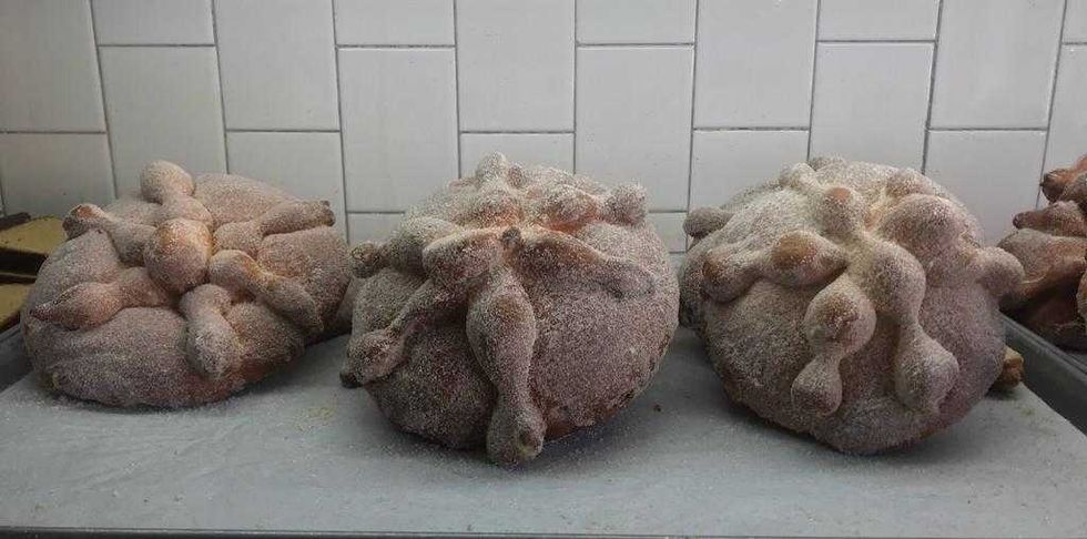 pan de muerto4