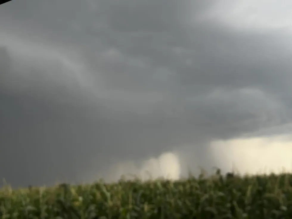 Parcela de ma\u00edz bajo cielo de tormenta en Nopala de Villagr\u00e1n, Hidalgo, en tierras ejidales que ser\u00e1n ocupadas por parques solares