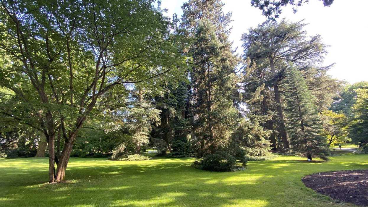 Parque Alcanfores en Querétaro capital; zona verde bajo análisis de protección ambiental ante proyecto del Tren México-Querétaro.