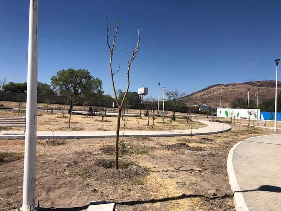 parque alfonso patino3