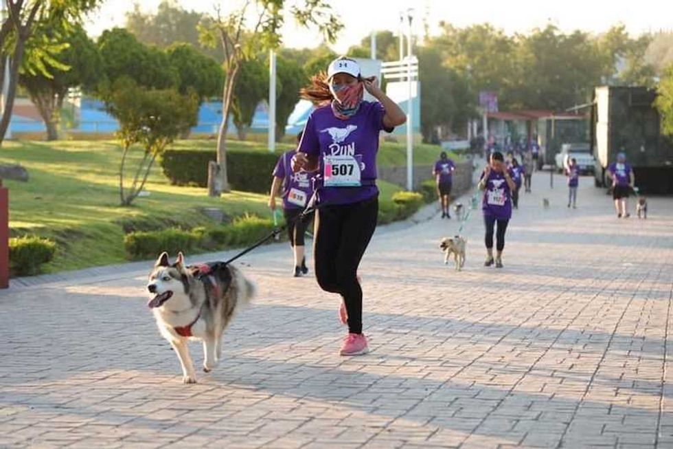 parque bicentenario2