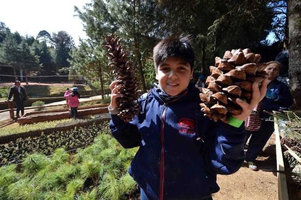 parque tematico noel para disfrutar de fiestas decembrinas en mexico 4