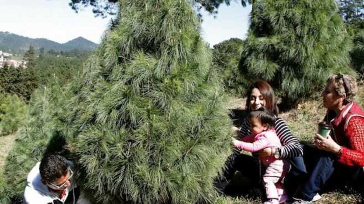 parque-tematico-noel-para-disfrutar-de-fiestas-decembrinas-en-mexico-5