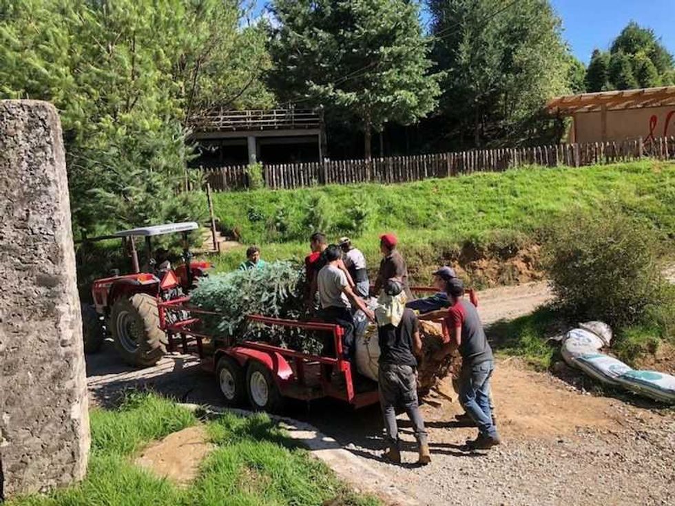 parque tematico noel para disfrutar de fiestas decembrinas en mexico