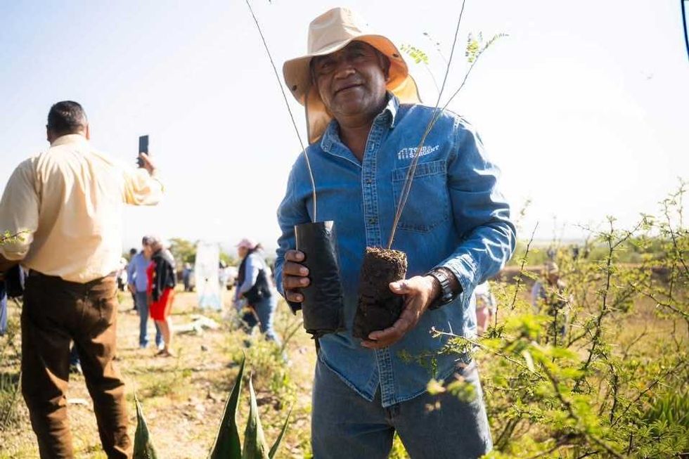 Participante sostiene plantas destinadas a la reforestaci\u00f3n del ejido de Arcila en San Juan del R\u00edo.