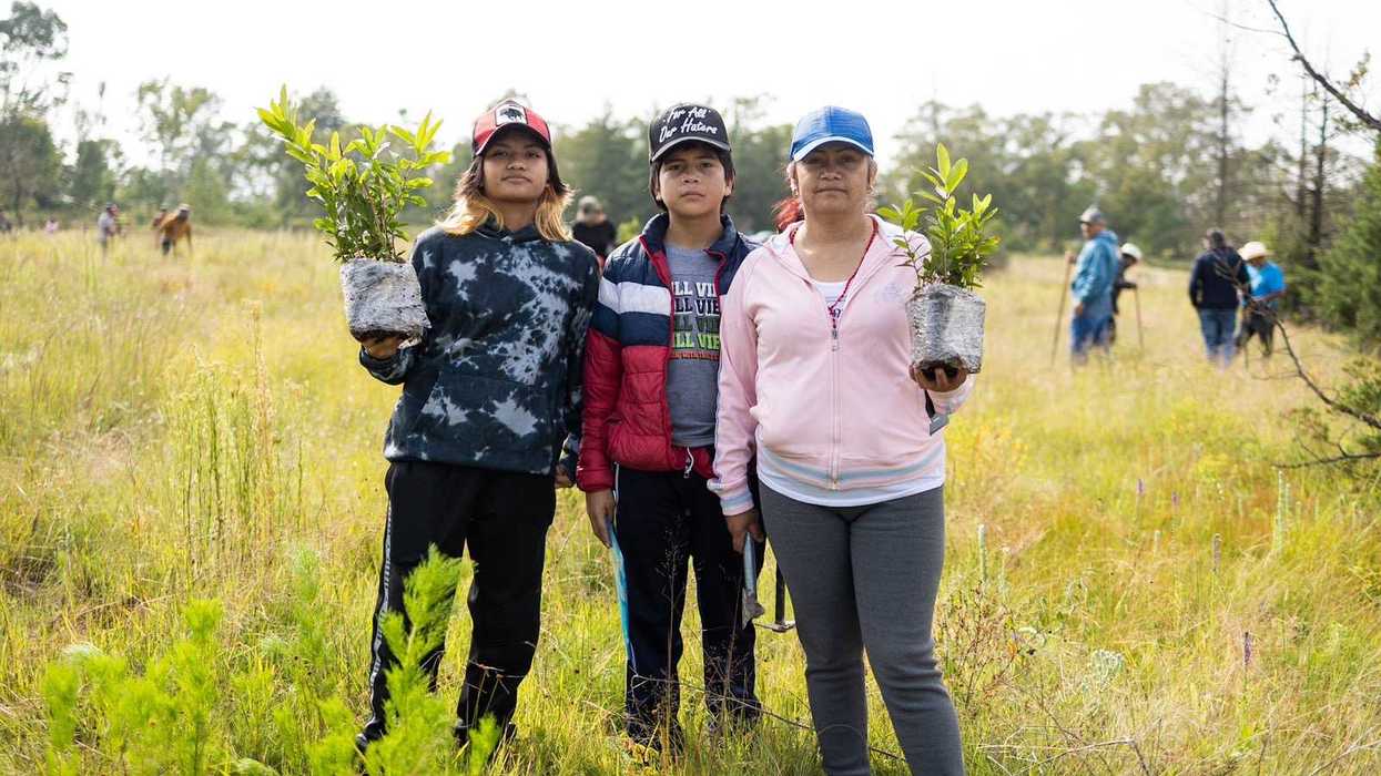 Participantes de la comunidad sosteniendo plantas para reforestar en el Ejido La Torre, Amealco de Bonfil