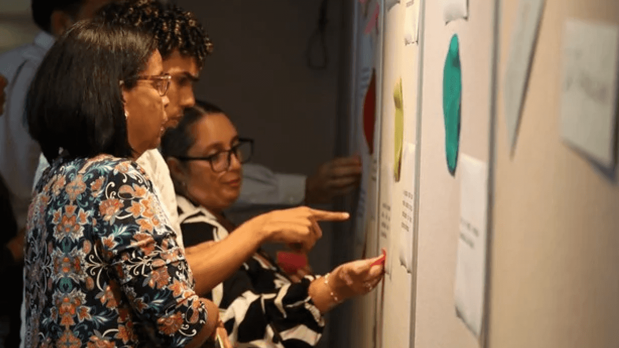 Participantes del taller del proyecto Crecer en inclusión revisan y colocan notas de colores en un panel de trabajo en La Habana