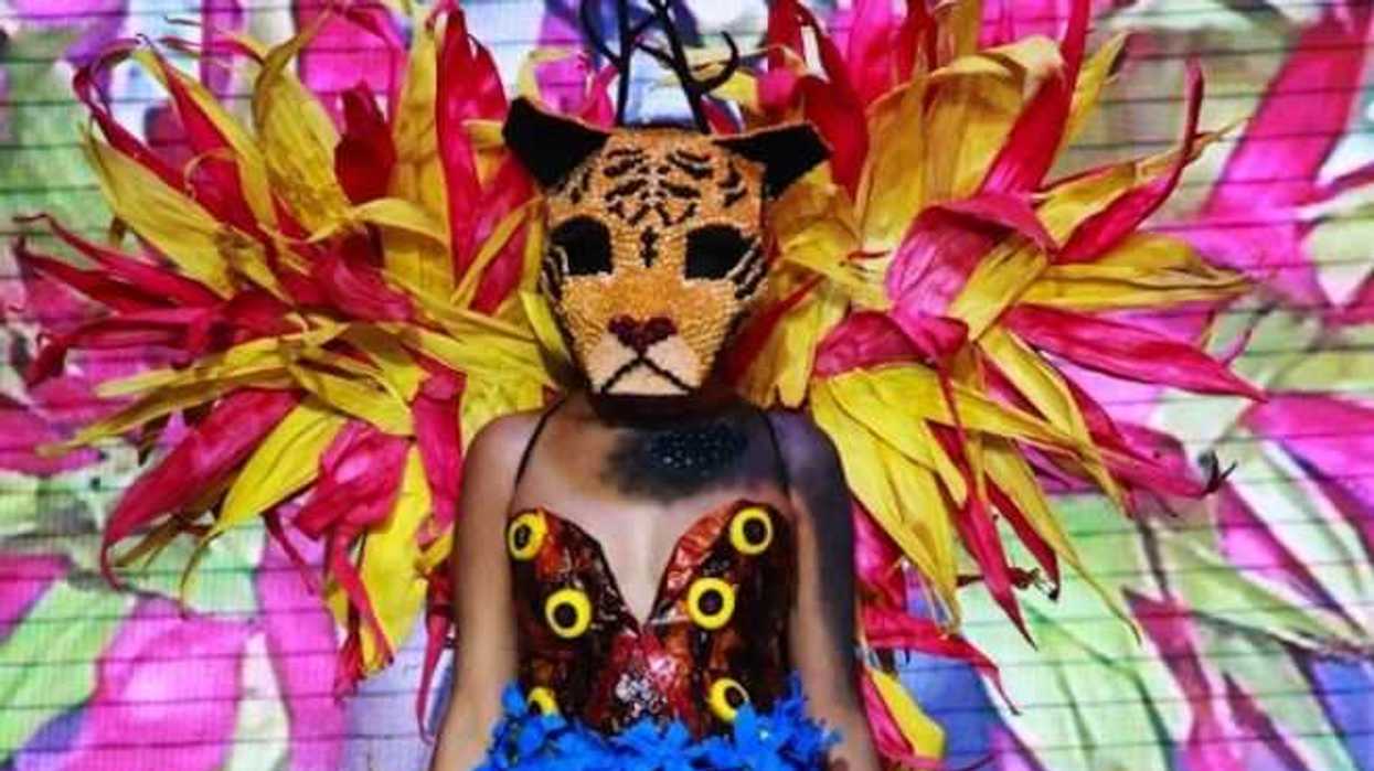 pasarela-donde-la-magia-la-comida-se-representa-en-alebrijes-1