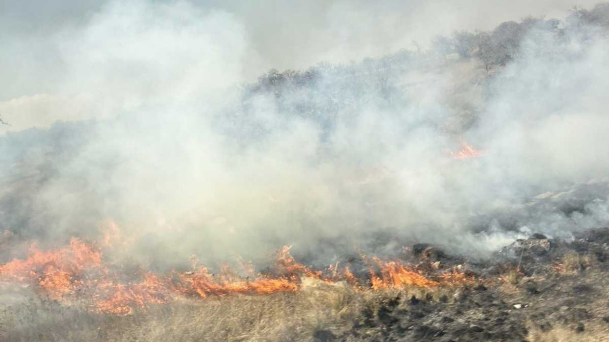 Pastizales afectados por incendios forestales a un costado de carreteras en San Juan del Río. La erosión daña zonas de agostadero.