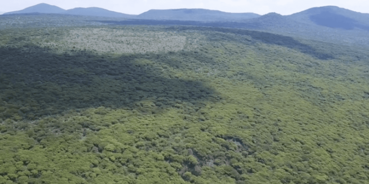 Decreto de Peña Colorada como Área Natural Protegida al 98% | Rotativo
