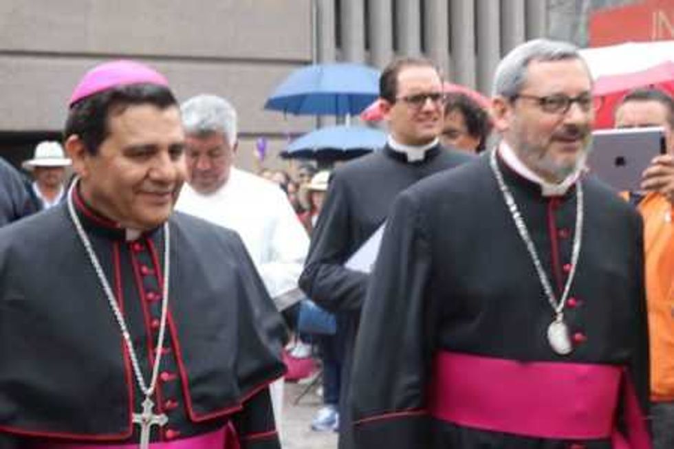 peregrinacion de queretaro al tepeyac 48