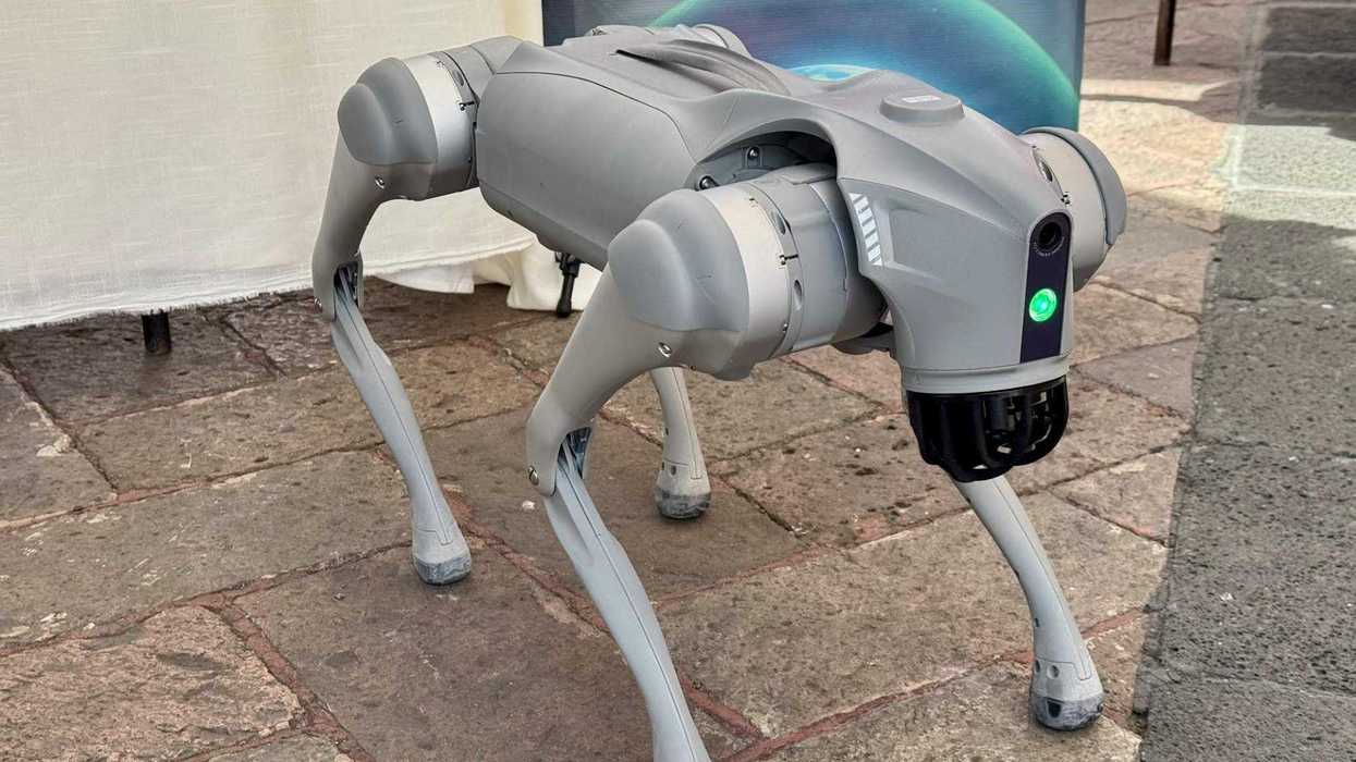 Perro robot cuadrúpedo presentado en Jornada por la Paz San Juan del Río.