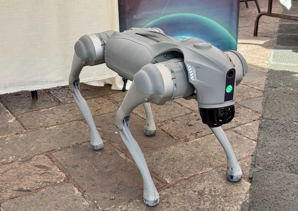 Perro robot cuadrúpedo presentado en Jornada por la Paz San Juan del Río.