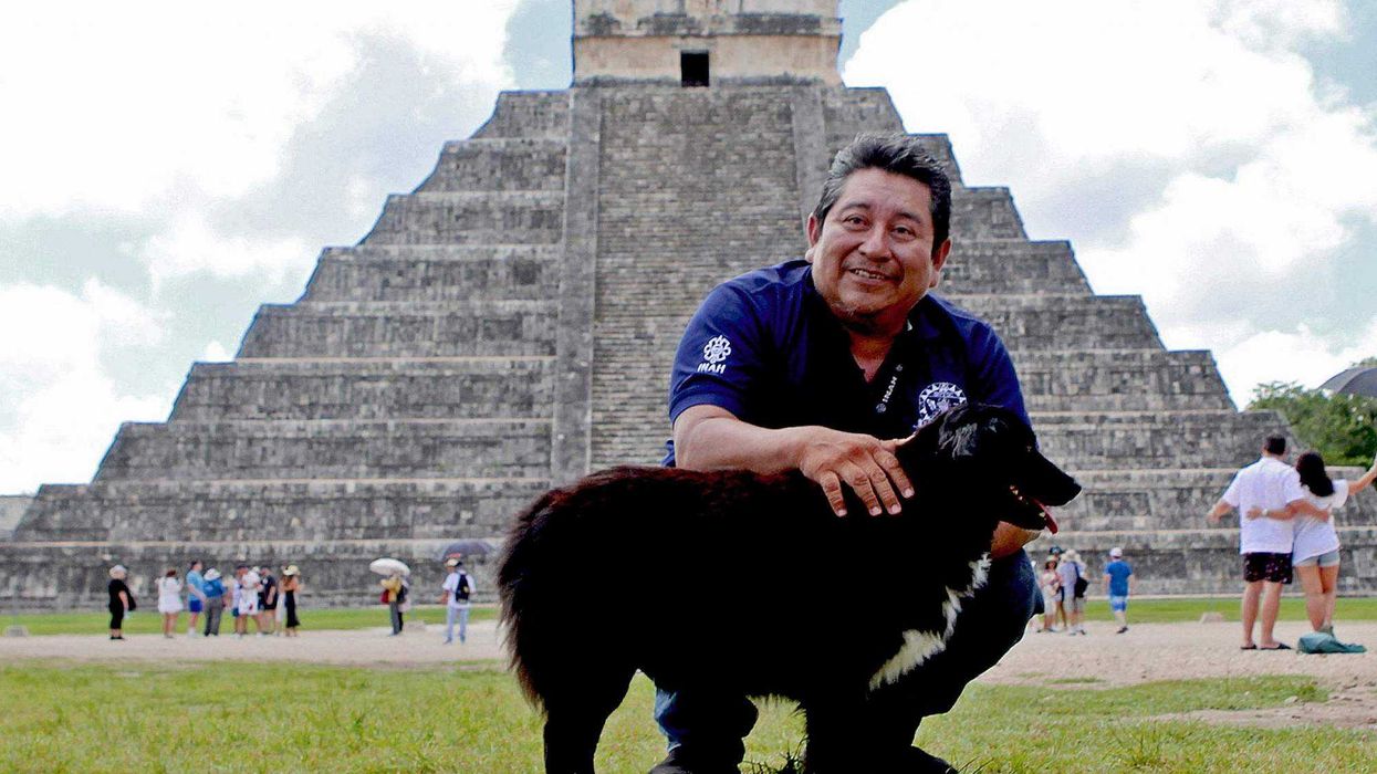 Perros rescatados en México custodian el legado maya de Chichén Itzá. AFP.