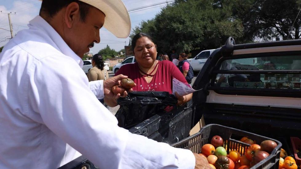 Persona distribuye jitomate a vecina desde camioneta durante jornada de Desarrollo Social