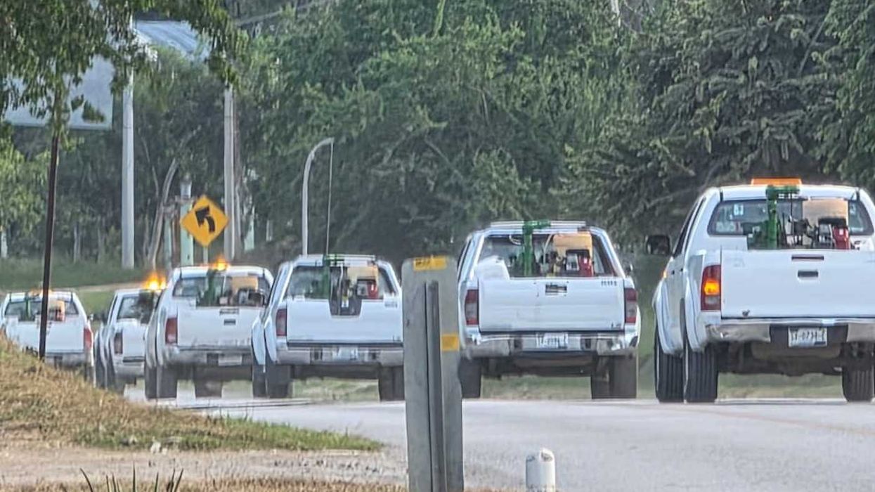 Personal de brigadas de vectores de la SESA durante operativos de control de dengue en localidades de Querétaro.