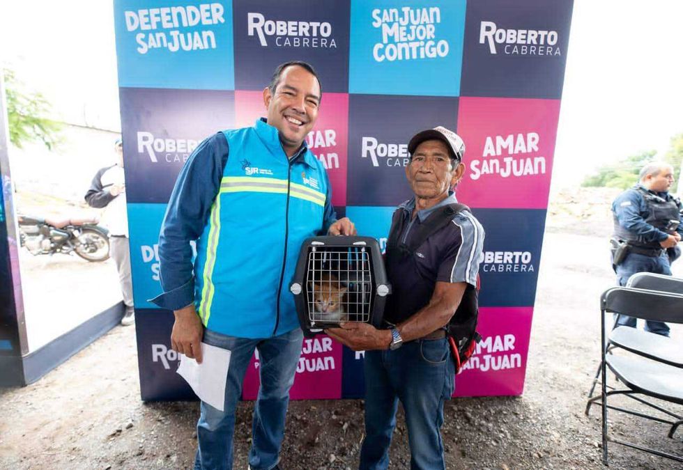 Personal de la Dirección de Cuidado, Protección y Control Animal realizando procedimientos de esterilización gratuita.