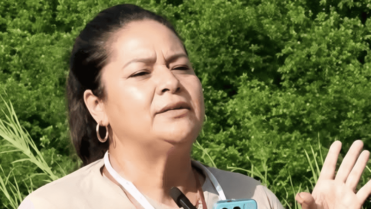 Personal de la Fiscalía de Veracruz durante labores de búsqueda de una periodista desaparecida en la entidad.