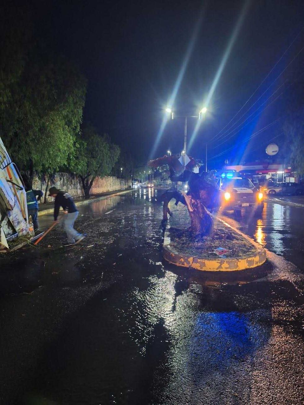 Personal de Protecci\u00f3n Civil atiende \u00e1rbol ca\u00eddo en colonia Centro de San Juan del R\u00edo tras lluvia del 5 de mayo de 2026