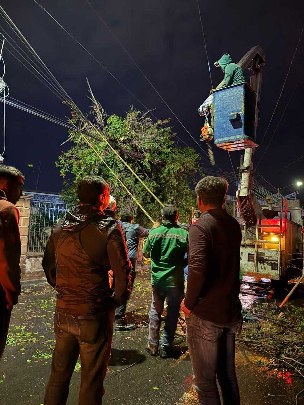 Personal de Protecci\u00f3n Civil atiende \u00e1rbol ca\u00eddo en colonia Centro de San Juan del R\u00edo tras lluvia del 5 de mayo de 2026