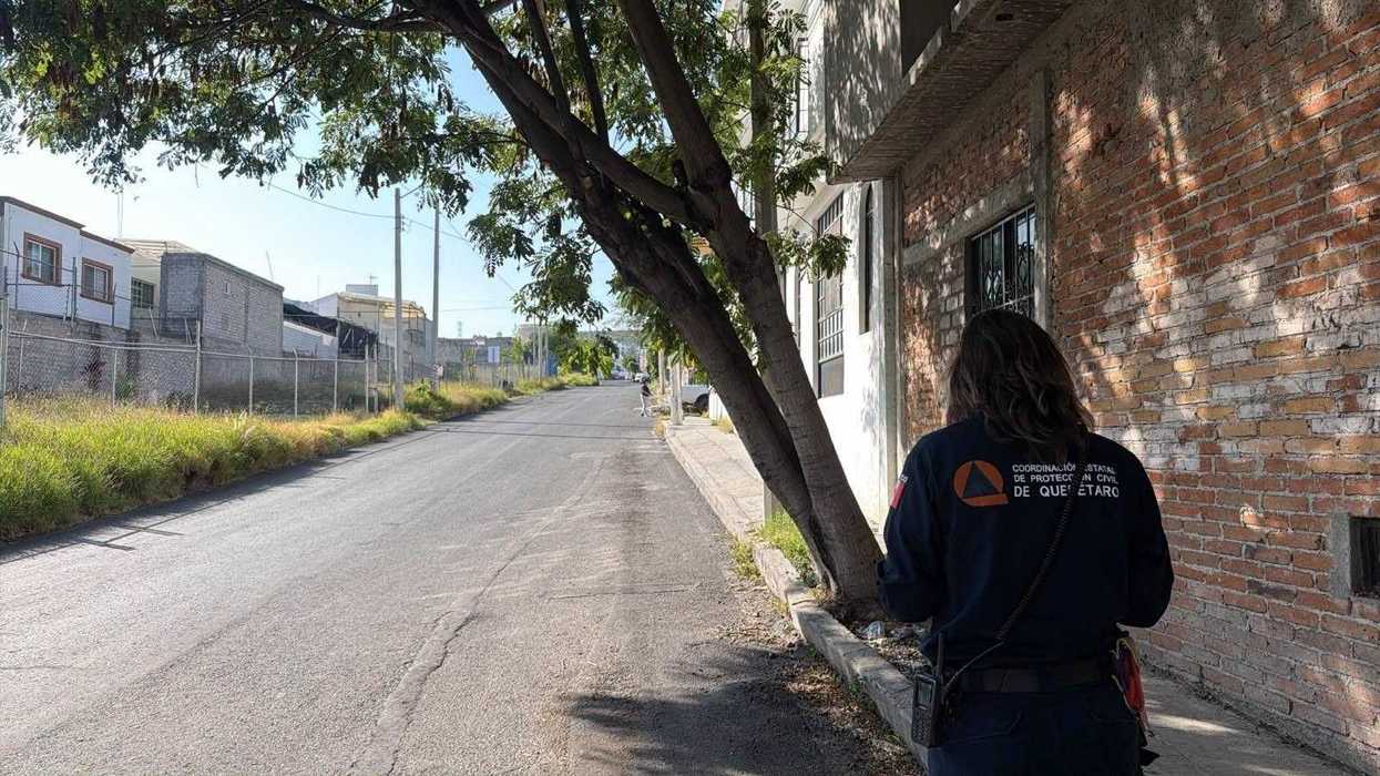 Personal de Protección Civil de Querétaro inspecciona árbol con riesgo de caída en la colonia Villas del Rincón